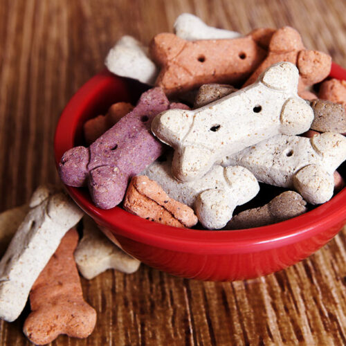 Black Friday 2023 – Top 10 Dog Food Deals to Anticipate
